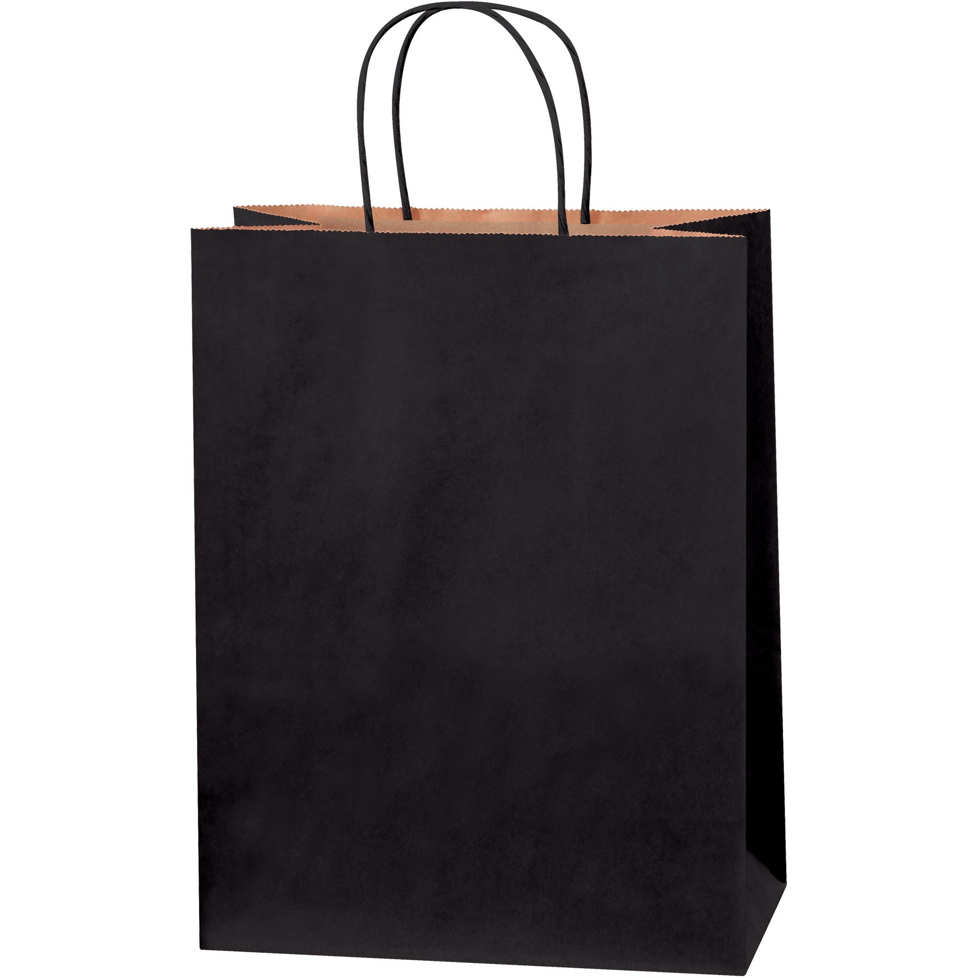 10-x-5-x-13-black-tinted-shopping-bags-bgs104bl_1