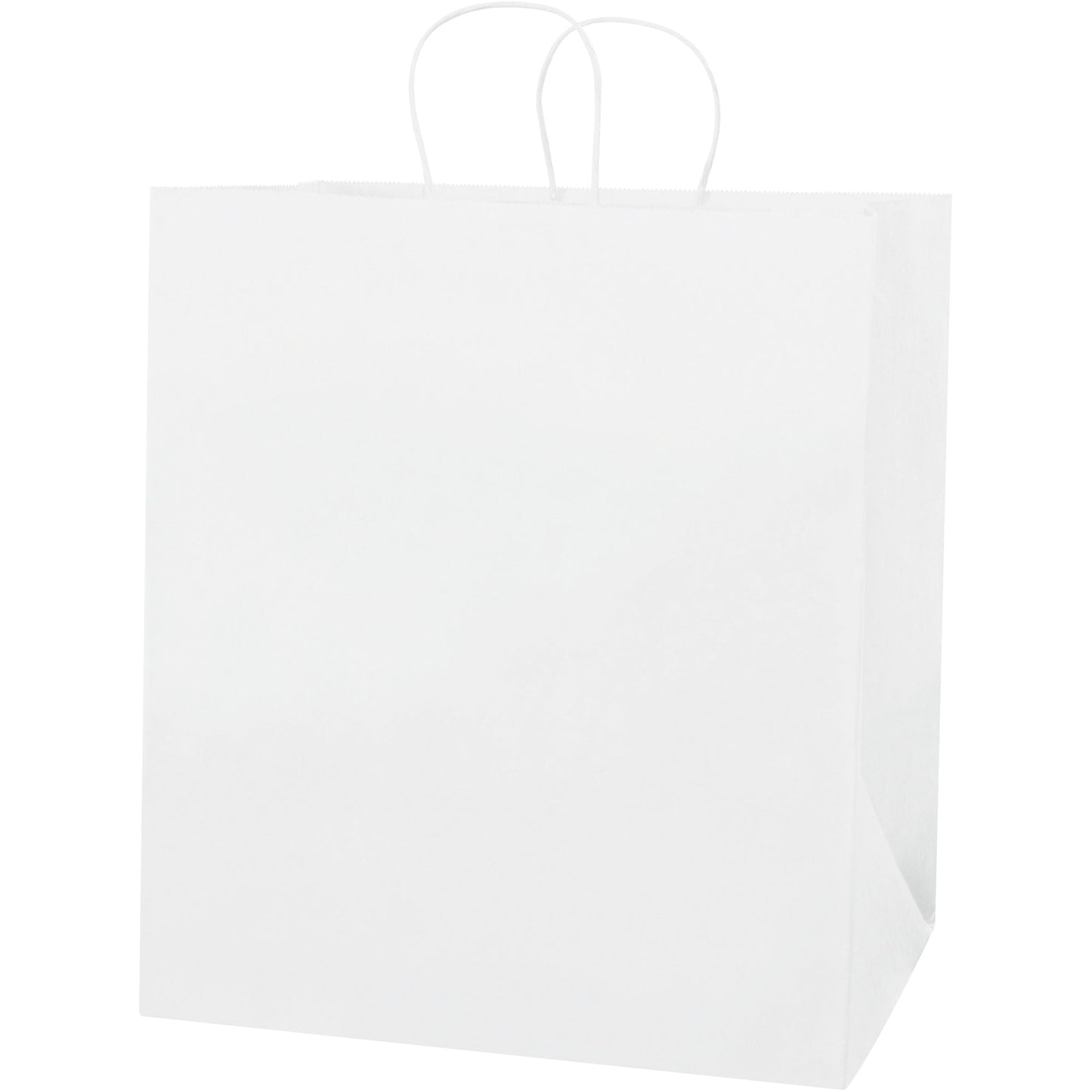 14-1-2-x-9-x-16-1-4-white-paper-shopping-bags-bgs107w_1