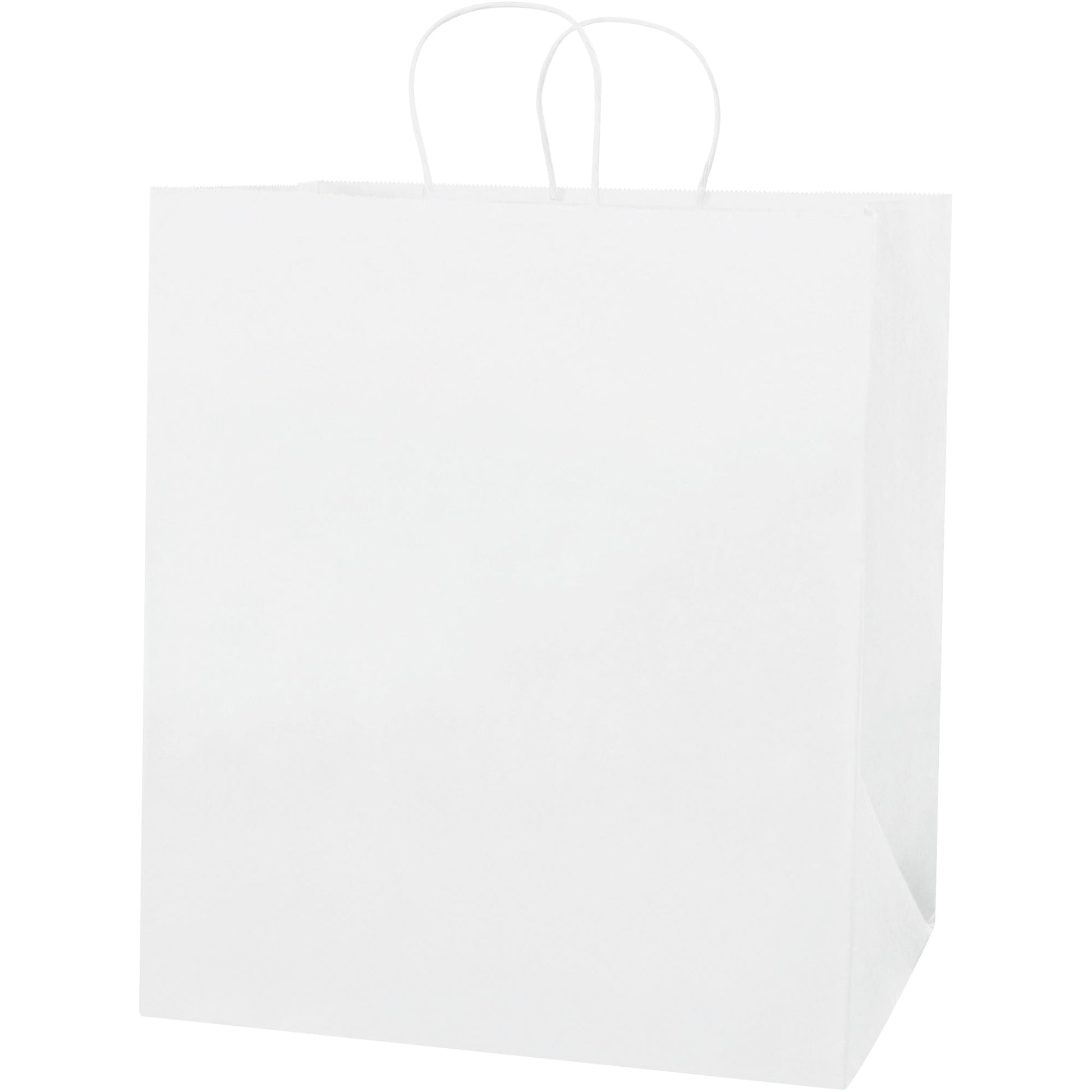 14-1-2-x-9-x-16-1-4-white-paper-shopping-bags-bgs107w_1