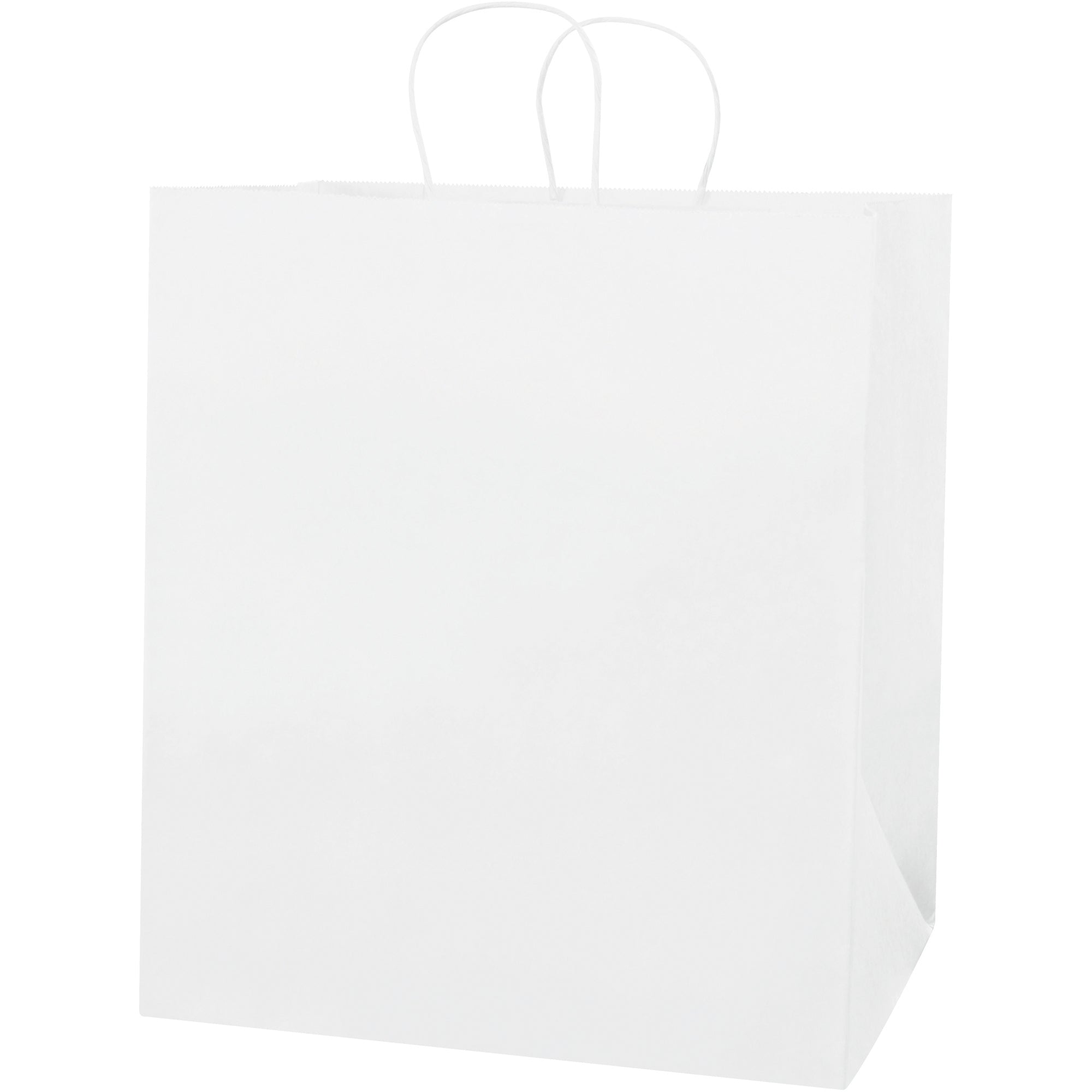 14-1-2-x-9-x-16-1-4-white-paper-shopping-bags-bgs107w_1