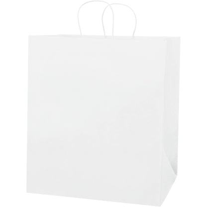 14-1-2-x-9-x-16-1-4-white-paper-shopping-bags-bgs107w_1