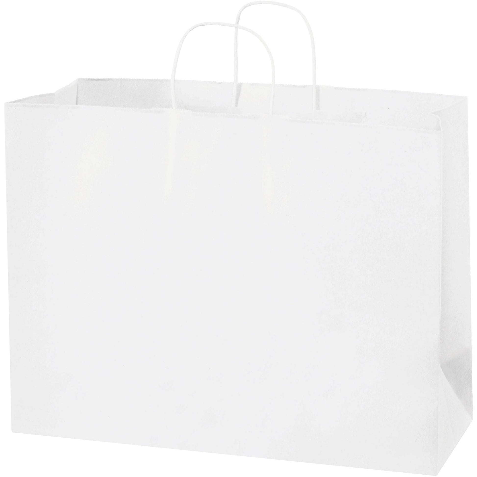 16-x-6-x-12-white-paper-shopping-bags-bgs108w_1