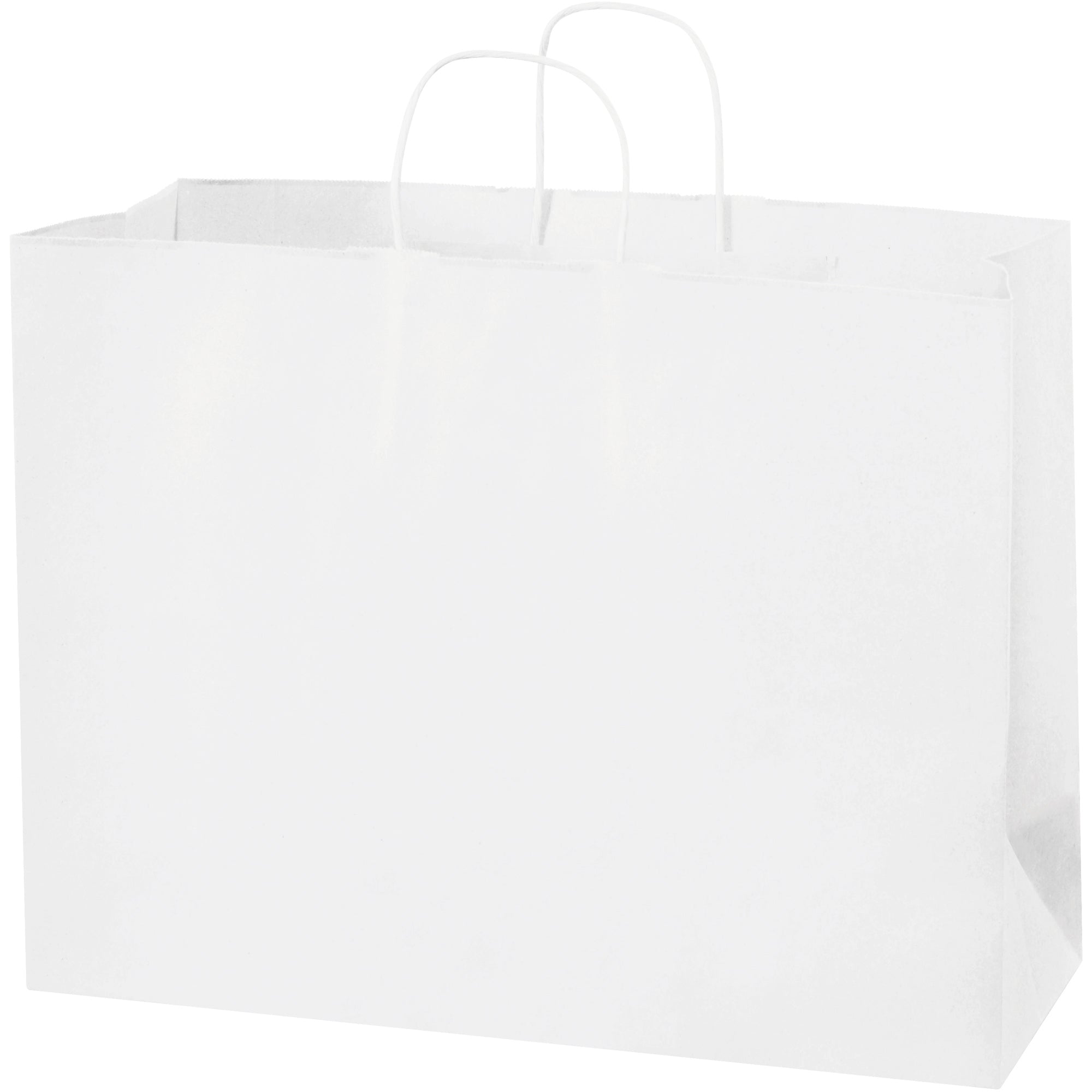 16-x-6-x-12-white-paper-shopping-bags-bgs108w_1