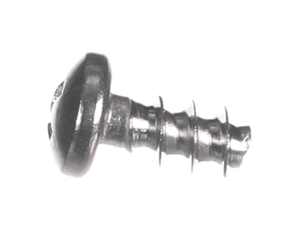 Bizerba 000000038120597000 Plastic Screw (BIZ000000038120597000)