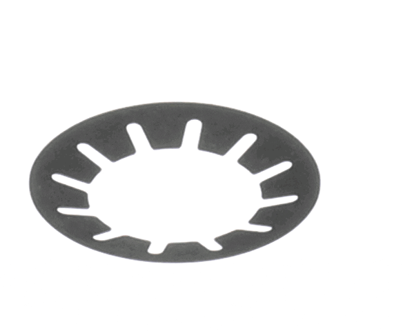 Bizerba 000000050001690000 Cup Spring/Washer (BIZ000000050001690000)