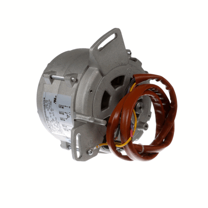Bizerba 000000052022660000 Motor (BIZ000000052022660000)