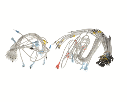 BKI Wh0167 Wiring Harness, Control Plate (BKIWH0167)
