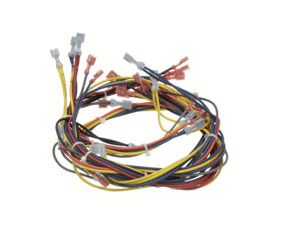 Blodgett 18351 Harness,Wiring Inf/8Stpt 2Sp (BL18351)
