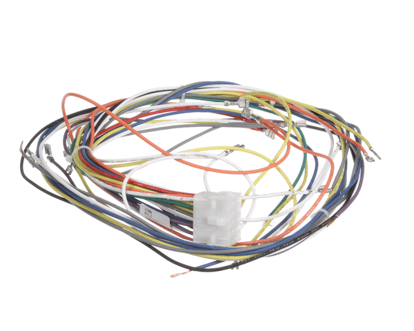 Blodgett 19306 Harness, Wiring Control Comp (BL19306)