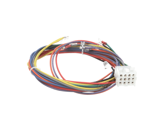 Blodgett 21058 Harness, Wiring Control Comp (BL21058)
