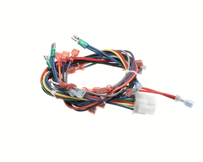 Blodgett 34411 Harness, Wiring - Ctb/R Pro-3 (BL34411)