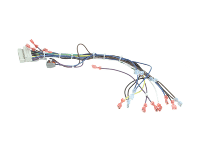 Blodgett 39235 Harness,Cntl Sh1G/Zephg 2Spd (BL39235)