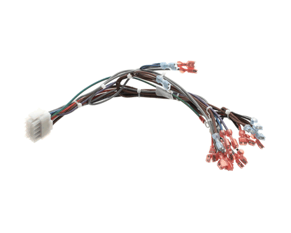 Blodgett 57481 Harness,Frt Neeo Man (BL57481)