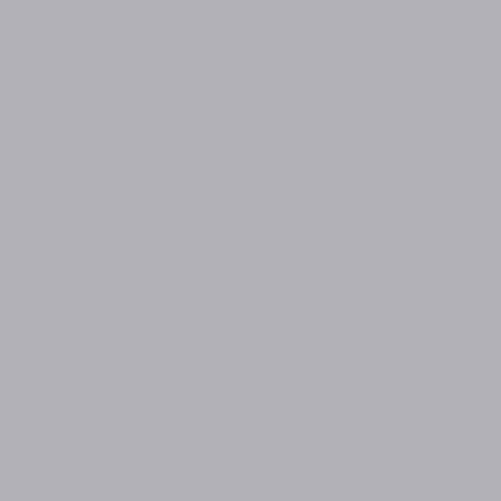 Arkwright Home® Host & Home Cotton Bed Blanket Twin Light Gray, 4/Case (BLKT-COT-6890-LG)