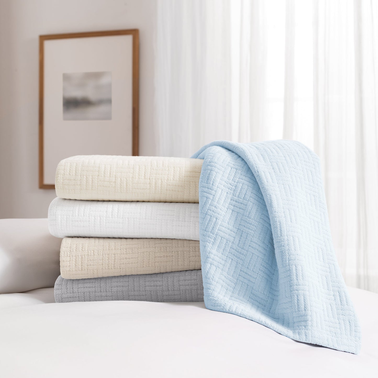 Arkwright Home® Host & Home Cotton Bed Blanket King White, 4/Case (BLKT-COT-10490-WH)