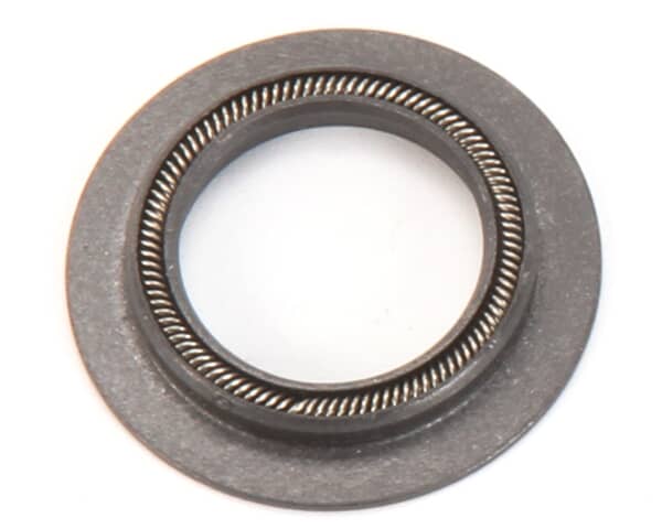 Blodgett R4244 Seal, Motor Shaft (BLR4244)