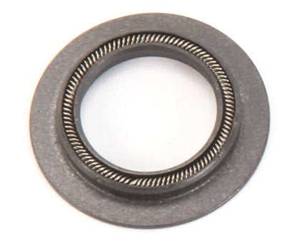 Blodgett R4244 Seal, Motor Shaft (BLR4244)