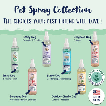 Bobbi Panter® Signature Itchy Dog Spray, Tea Tree/Lavender (8oz), 12/Case (HOSBP00015-CS)