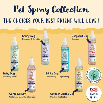 Bobbi Panter® Signature Charlie Dog Spray, Cedarwood, 8 oz Bottle (HOSBP00035)