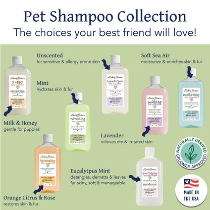 Bobbi Panter® Botanicals Refreshing Dog Shampoo Mint/Chamoile (14 oz), 12/Case (BP00036-CS)