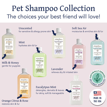 Bobbi Panter® Botanicals Nourishing Dog Conditioner Shea Butter (14 oz), 12/Case (BP00076-CS)