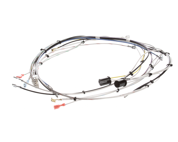 Bunn 29072.0000 Wiring Harn,Main-Cdbc 120V (BU29072-0000)