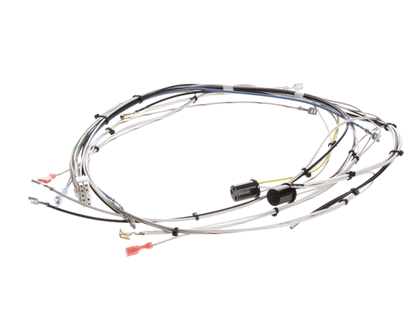 Bunn 29072.0000 Wiring Harn,Main-Cdbc 120V (BU29072-0000)