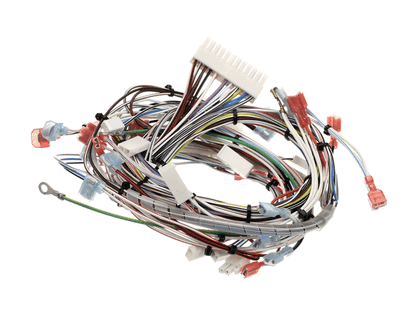 Bunn 32263.0000 Wiring Harn,Main 120V Ultra-2 (BU32263-0000)