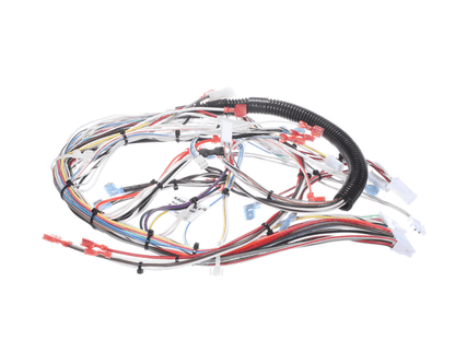 Bunn 32263.0006 Wiring Harness, Main Ultra-2 (BU32263-0006)