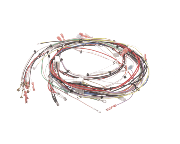 Bunn 33634.0001 Wiring Harness,Main Dual Sh (BU33634-0001)