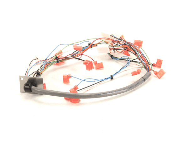 Bunn 34985.0000 Wiring Harn, Door I/C Fmd-5 (BU34985-0000)