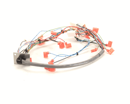 Bunn 34985.0000 Wiring Harn, Door I/C Fmd-5 (BU34985-0000)