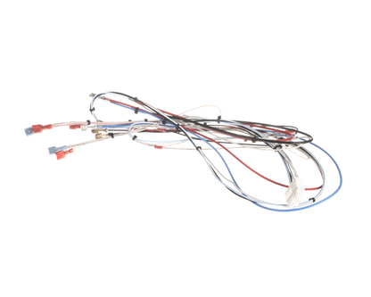 Bunn 38040.0028 Wiring Harness, Main Icb Sh (BU38040-0028)