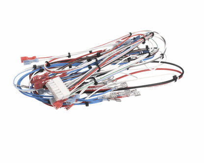 Bunn 38040.0029 Wiring Harness, Main Icb Twin Sh (BU38040-0029)
