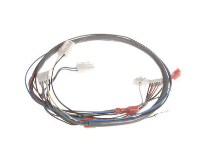 Bunn 41202.0012 Wiring Harn, Door Pc-Juice (Disp Sw) (BU41202-0012)