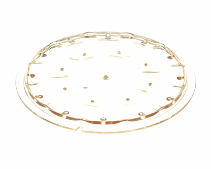 Bunn 43920.0006 Sprayhead, 21 Hole Plastic Wav (BU43920-0006)