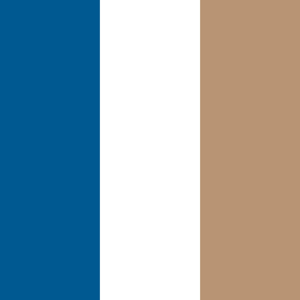 Hospeco® Cabo Cabana Beach Towel 30x70 Navy/Beige, 4/Pack (CABOCABANA-NV/BG)