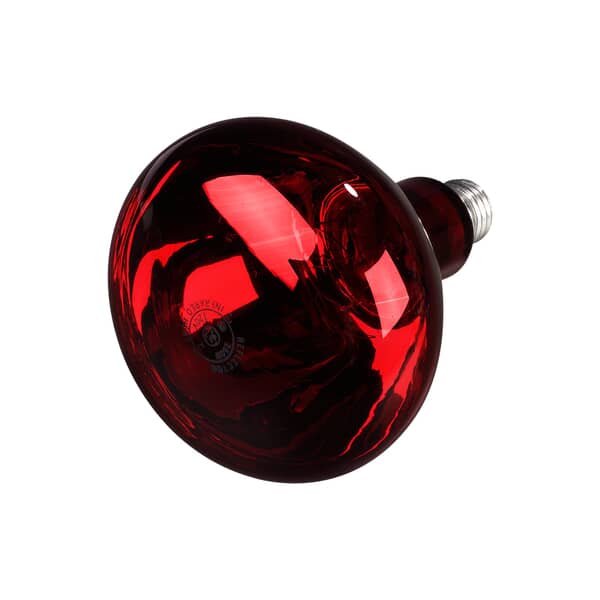 Carlisle Hlrp705 Bulb, Infrared 250W, Red (CARLHLRP705)