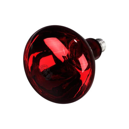 Carlisle Hlrp705 Bulb, Infrared 250W, Red (CARLHLRP705)