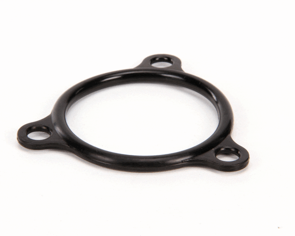 Champion - Moyer Diebel CHA109985 Seal, O-Ring, Electric Heater (CHA109985)