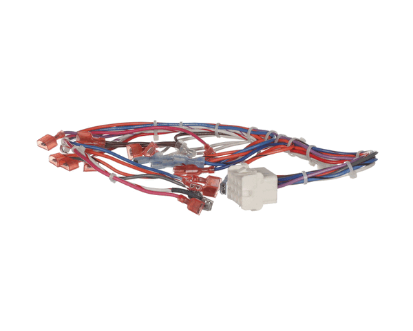 Cleveland Wht300984 Cntrl Panel Harness; 22C Gt3 (CLEWHT300984)