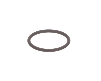 ClimateMaster 29B0016N01 O-Ring Nexus Or-Un075 For 1/2 (CLMM29B0016N01)
