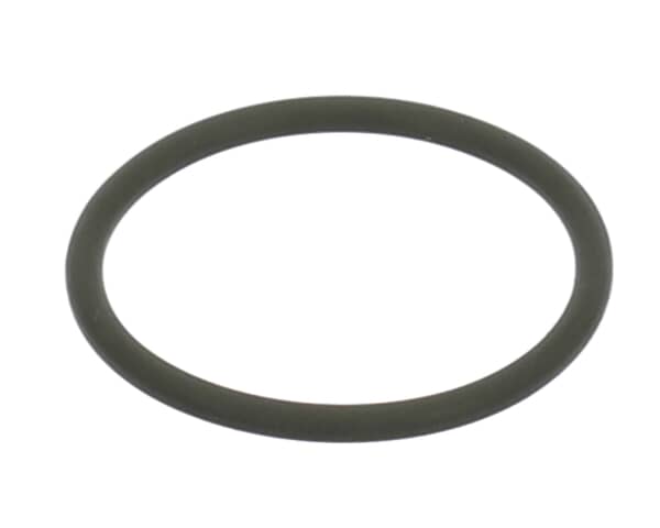 ClimateMaster 29B0016N02 O-Ring Nexus Or-Un125 For 3/4 (CLMM29B0016N02)