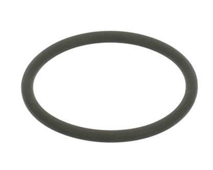 ClimateMaster 29B0016N02 O-Ring Nexus Or-Un125 For 3/4 (CLMM29B0016N02)