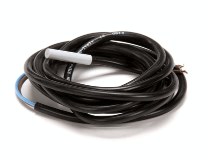 Carpigiani Ic572910140 Switch-Dry Reed N.O.A061 1G Dz (CRPIC572910140)