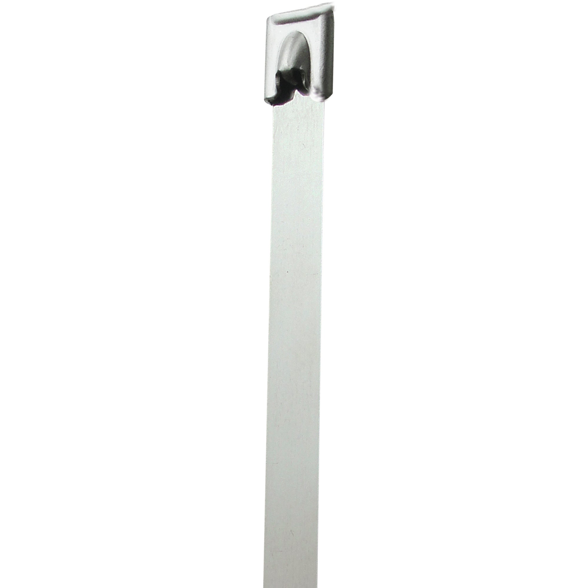 20-150-stainless-steel-cable-ties-ctss2018_1