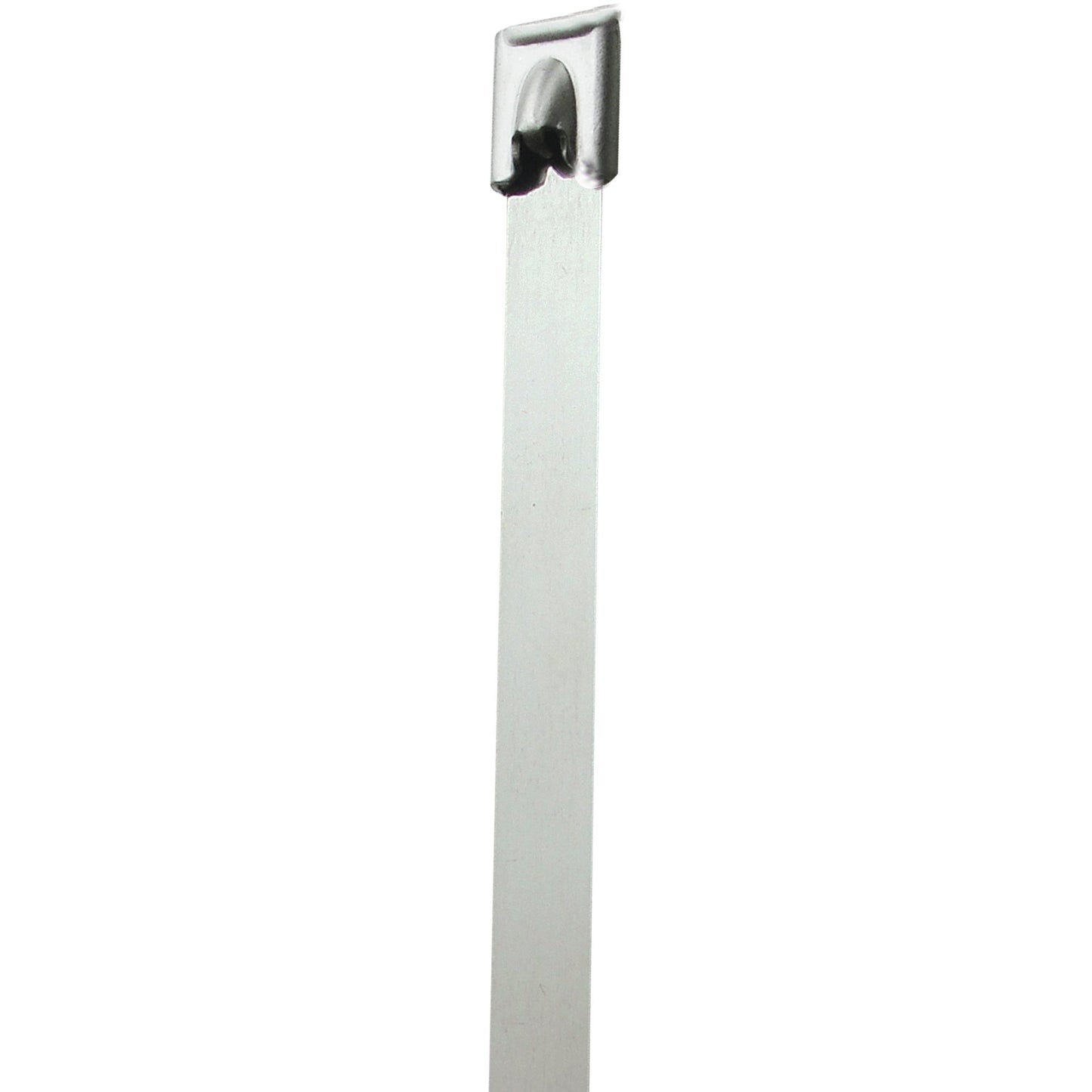 8-150-stainless-steel-cable-ties-ctss818_1