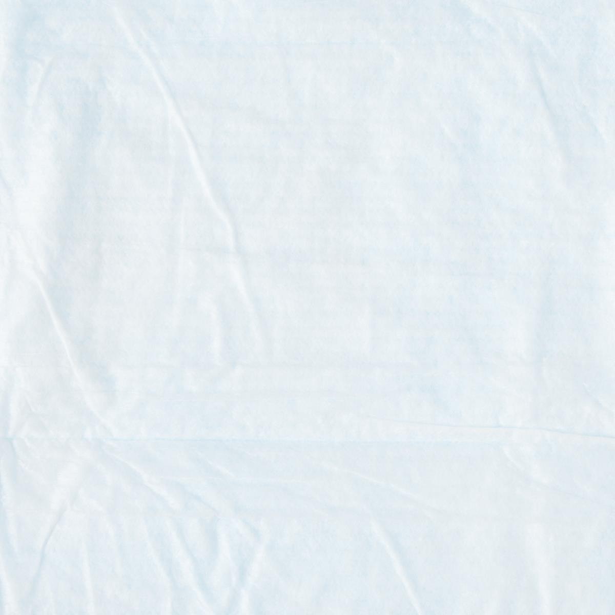 protection-plus-underpad-moderate-absorbency-23-x-24-blue-inner-packs-of-5-bag-200-cs-msc281241lb_1