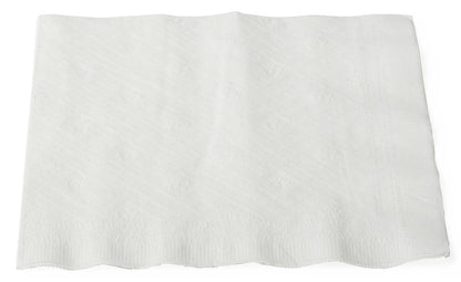 paper-dinner-napkin-square-2-ply-17-x-17-334-pk-12-cs-non25806_1