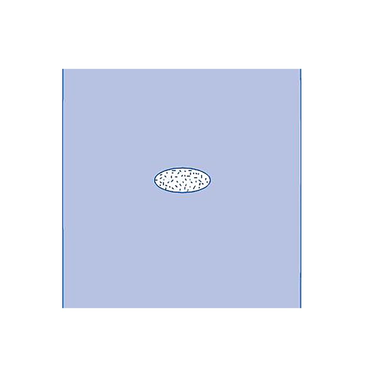 adherent-window-sheet-sterile-41-x-45-34-cs-dynjp2493_1